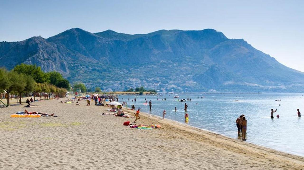 Beach Apartments "Bili Cvitak" Дуче Экстерьер фото